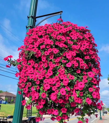 ✨This Week's Special Sale 49% Off- UV Simulation Artificial flower